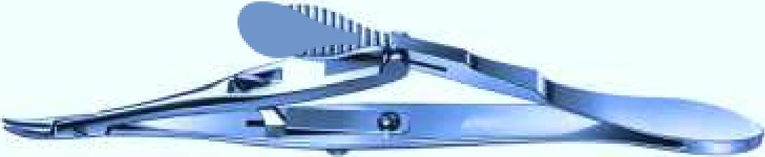 Kalt Needle Holder Curved